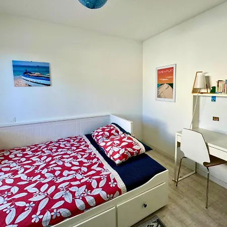 Moderne Entre Et Ocean Holiday home Biscarrosse